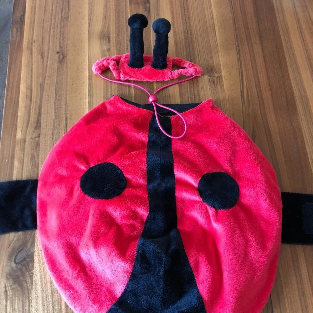 Target‎ Ladybug Dog Costume Size Large 18 inch Halloween 2 Piece Lady Bug Red